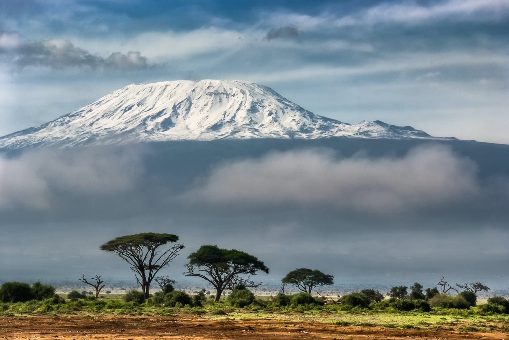 kilimanjaro