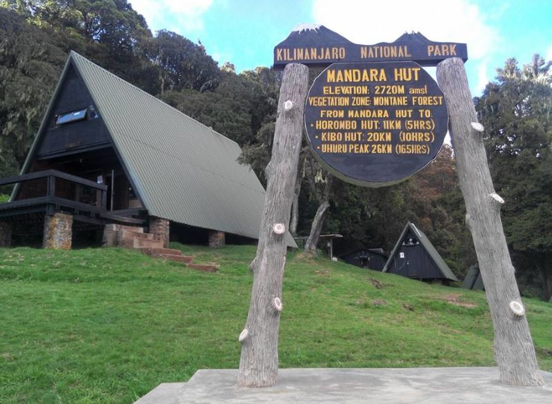 Kilimanjaro Day Hike