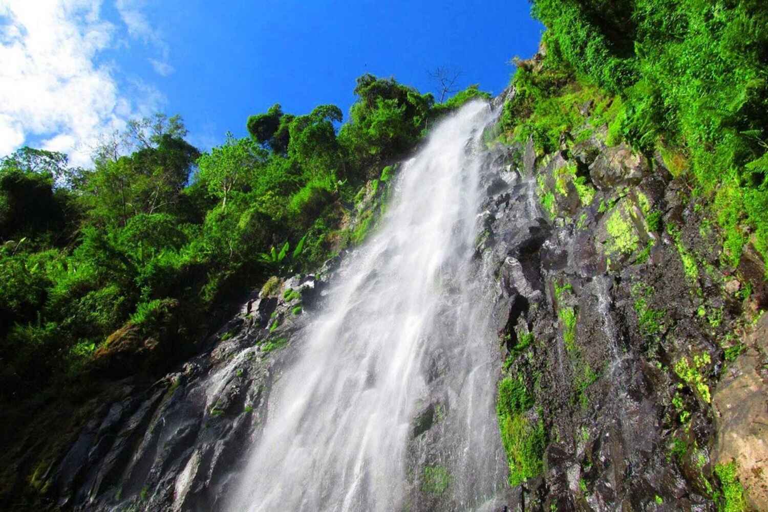 Materuni Coffee and Waterfalls Tour