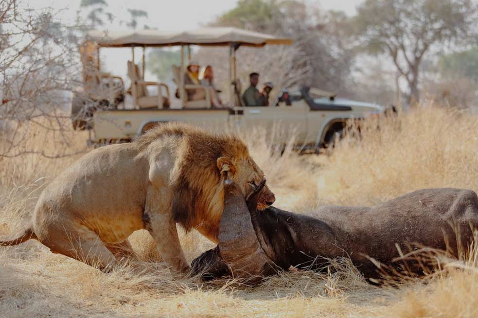 Ruaha National Park