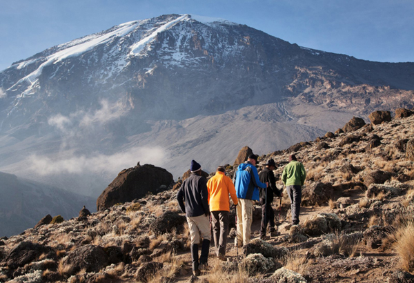 kilimanjaro-via-lemosho1