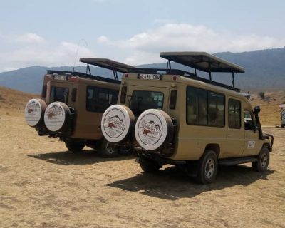 Safari Vehicle