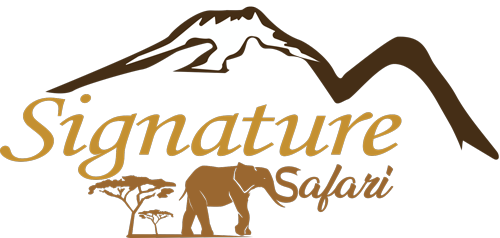 Signature Safari - Luxury Tanzania Safari Tour Company