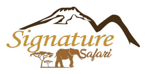signature safari official logo