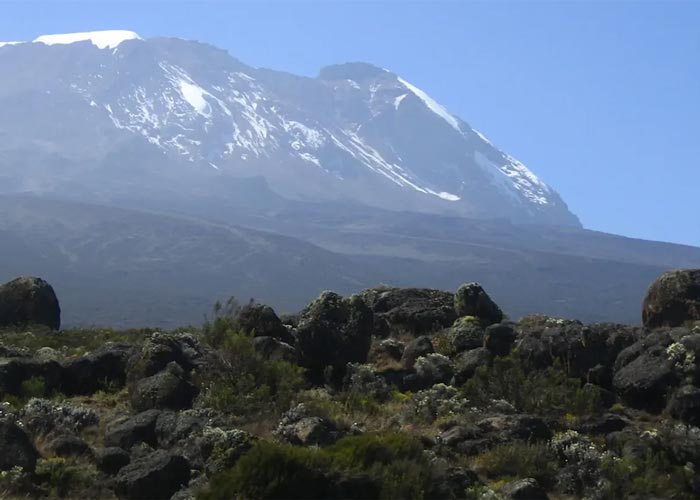 kilimanjaro northern circuit